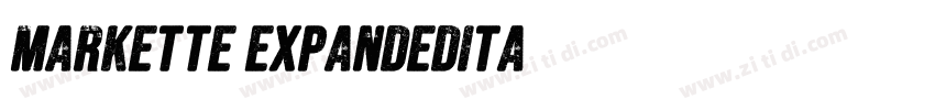 Markette ExpandedIta字体转换